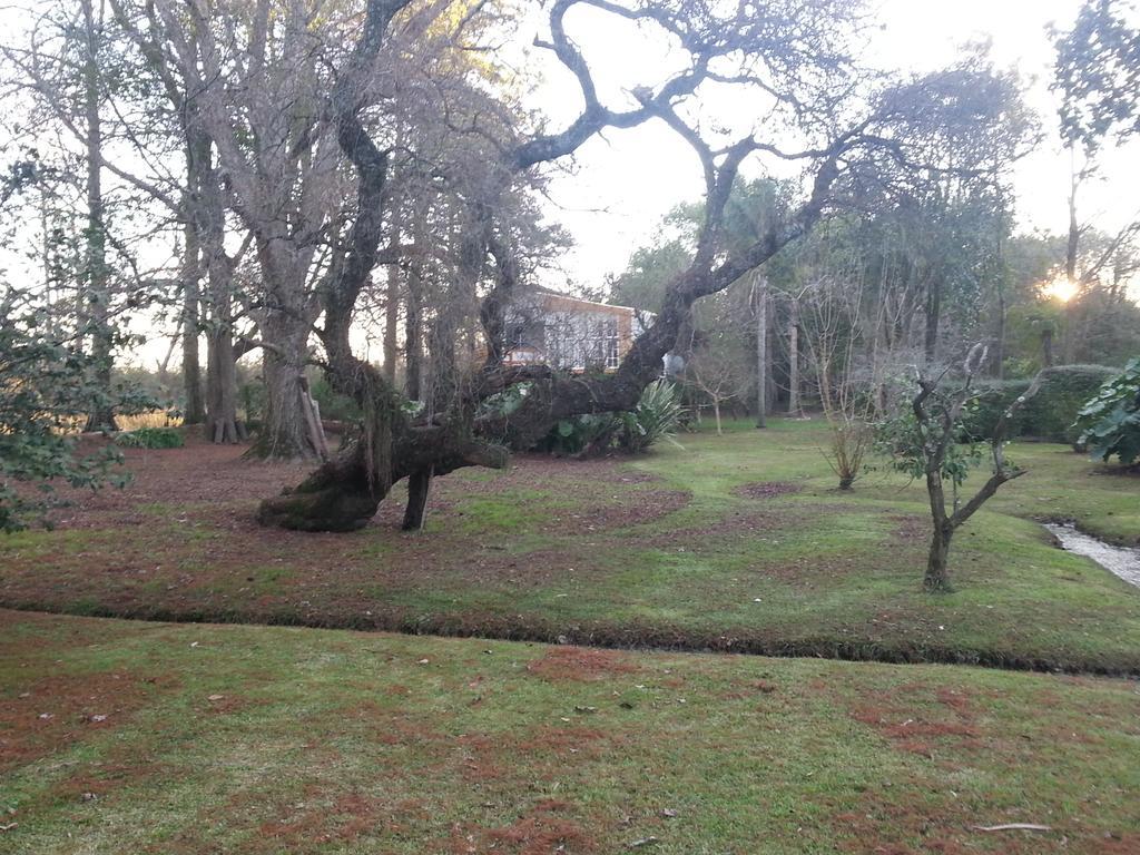 Casa Del Bosque Βίλα Tigre Εξωτερικό φωτογραφία