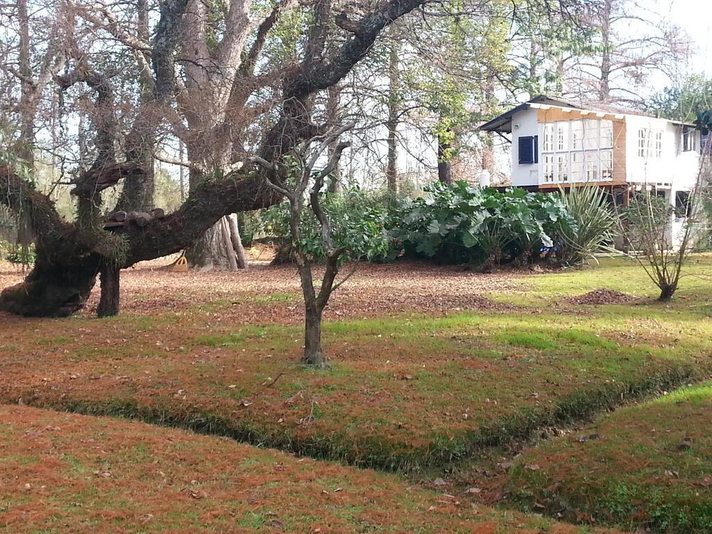 Casa Del Bosque Βίλα Tigre Εξωτερικό φωτογραφία