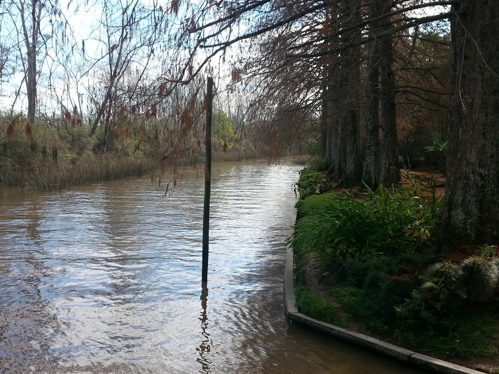 Casa Del Bosque Βίλα Tigre Εξωτερικό φωτογραφία