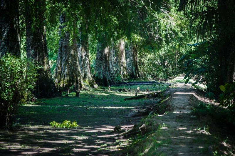 Casa Del Bosque Βίλα Tigre Εξωτερικό φωτογραφία
