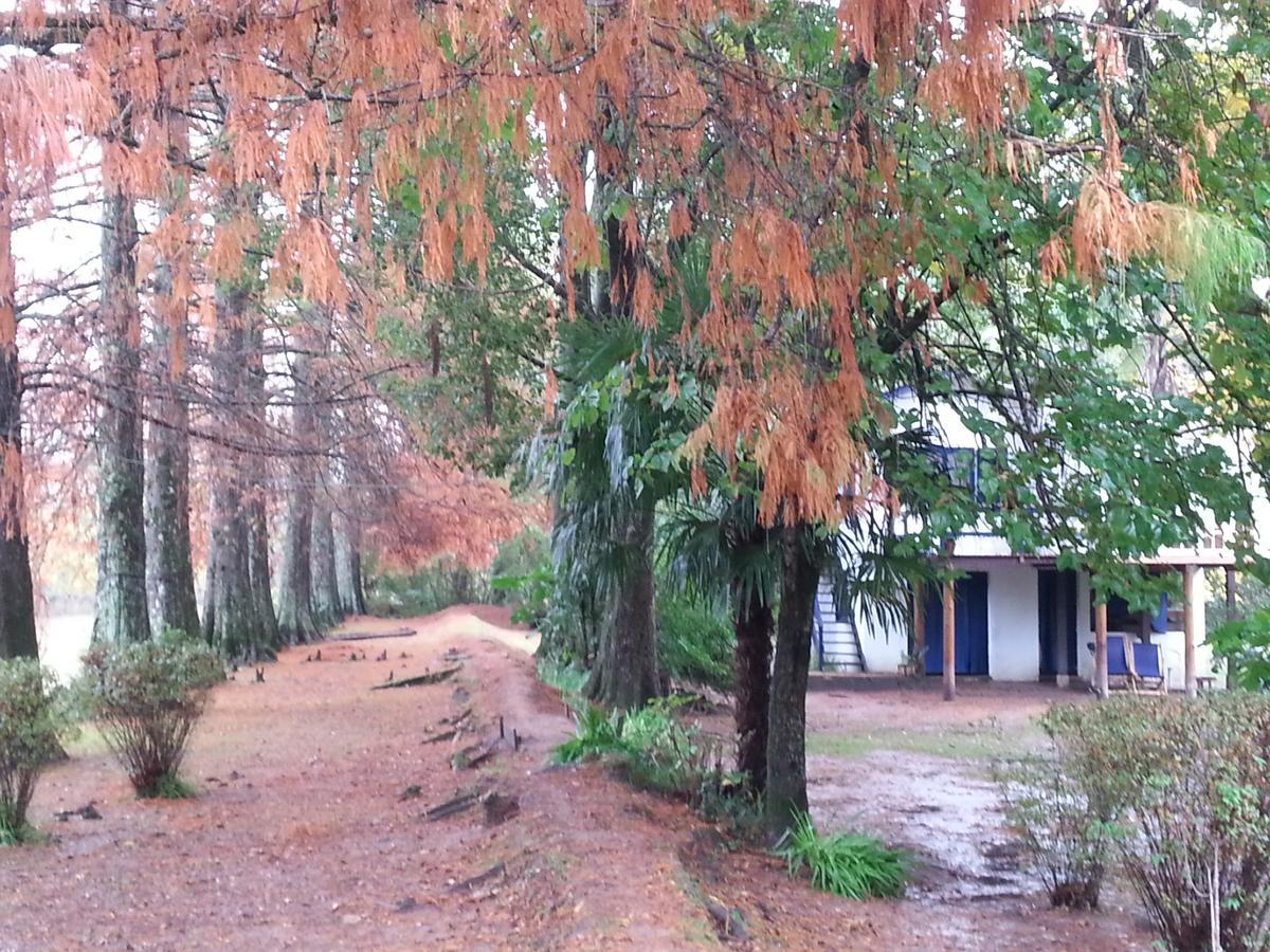 Casa Del Bosque Βίλα Tigre Εξωτερικό φωτογραφία
